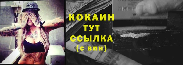 дживик Зерноград