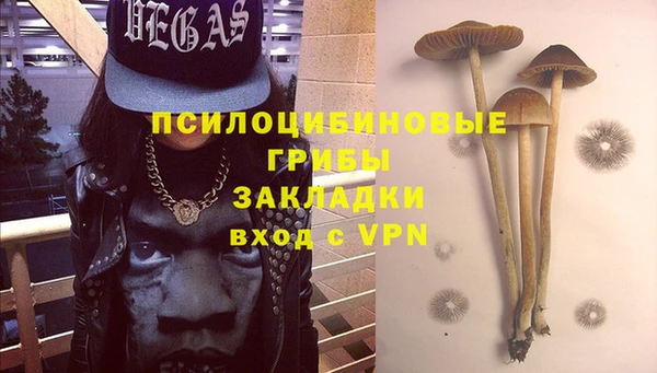 дживик Зерноград