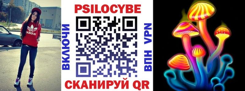 Купить закладки  Духовщина  Псилоцибиновые грибы мухоморы 